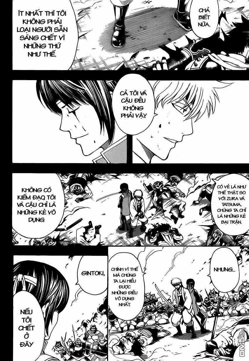 gintama - linh hồn bạc chapter 516 3