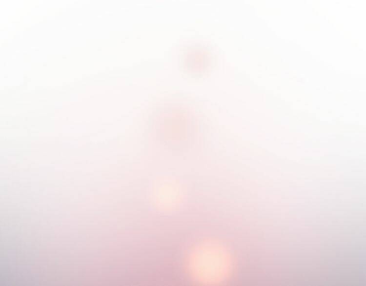 lượm được 1 tiểu hồ ly chapter 74 2