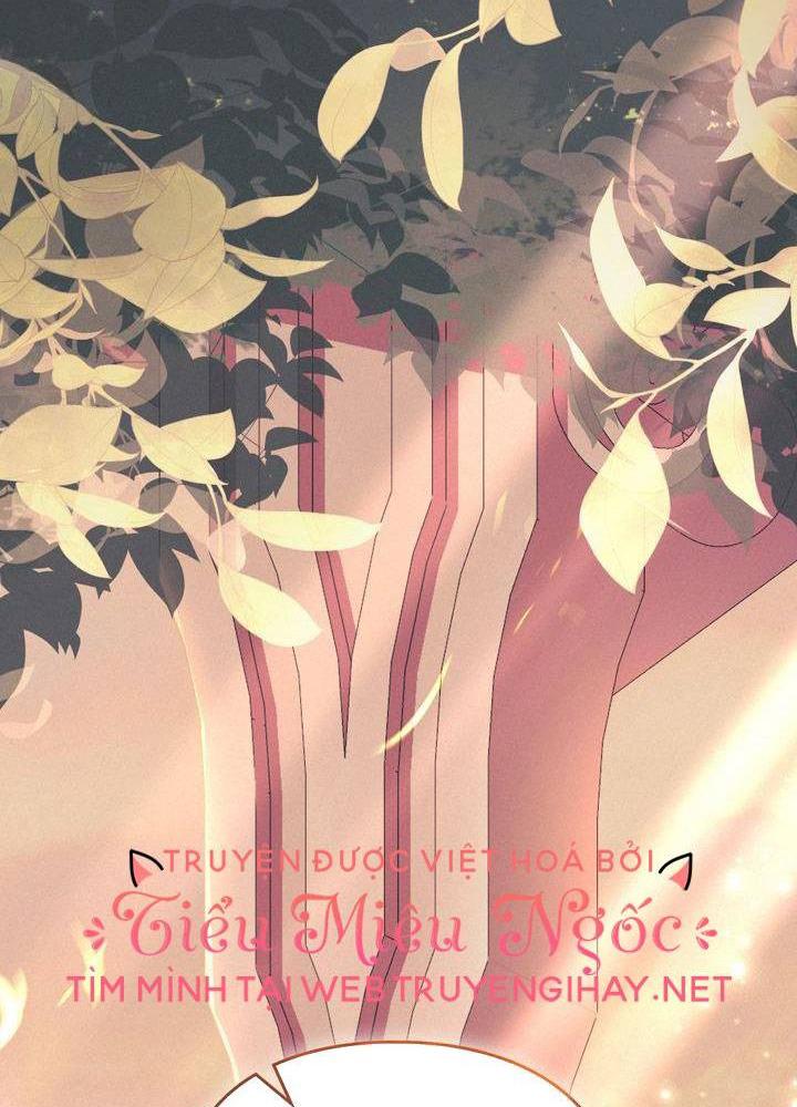 chấp nhận sự chiếm đoạt chapter 11 104