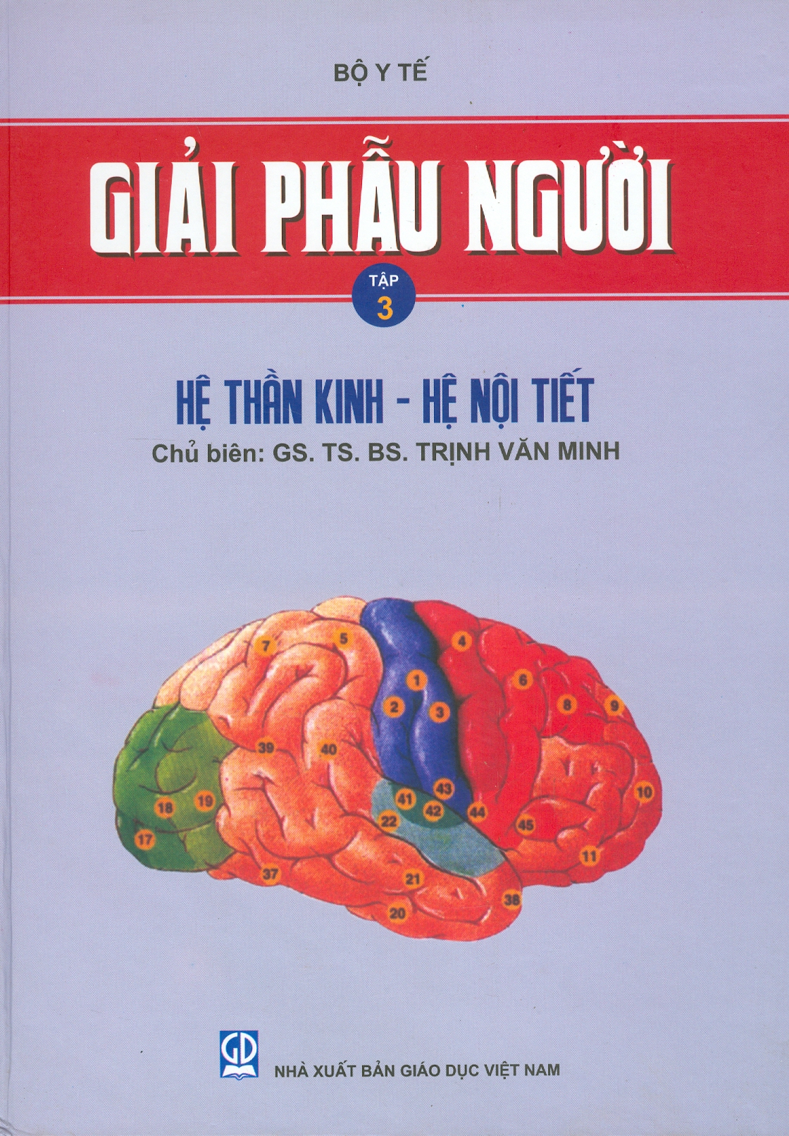 Giải Phẫu Người, Tập 3: Hệ Thần Kinh - Hệ Nội Tiết (Bìa cứng)