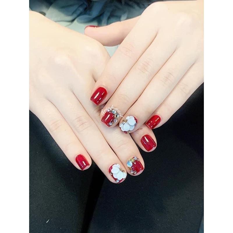 hoa bột nail