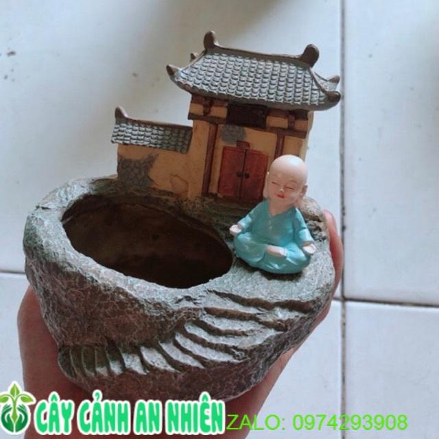 Chậu Trồng Cây