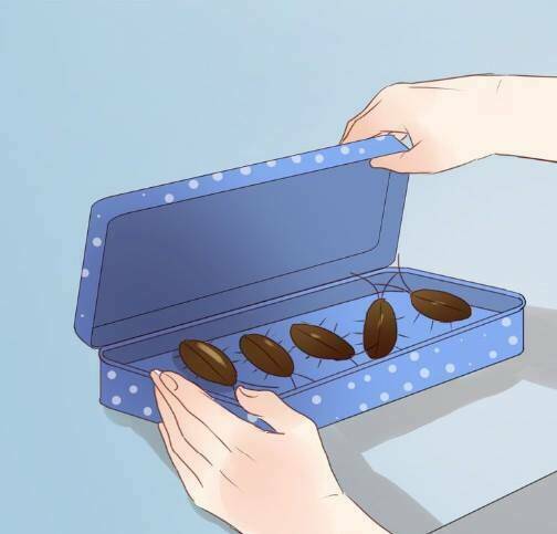 lượm được 1 tiểu hồ ly chapter 10 54