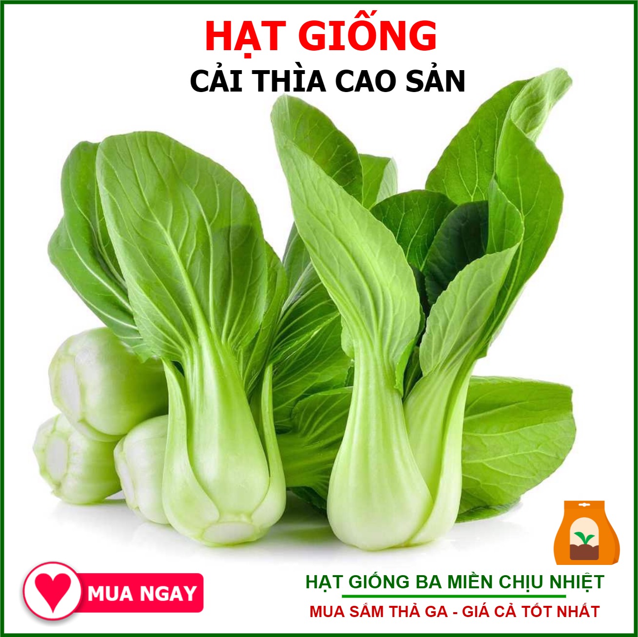 Hạt Giống Cải Thìa Sen Vàng Gói 20gram