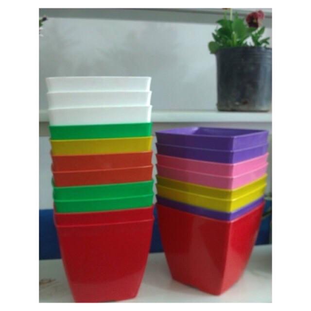 10 Chậu Trồng Hoa V16 các màu