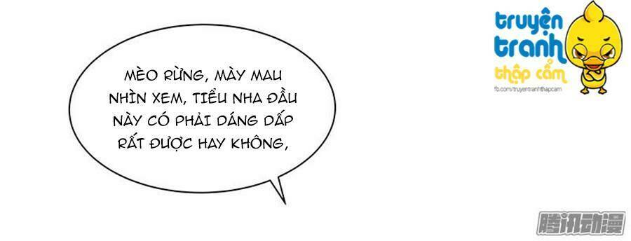 cường sủng hào môn tiểu manh thê chapter 18 43