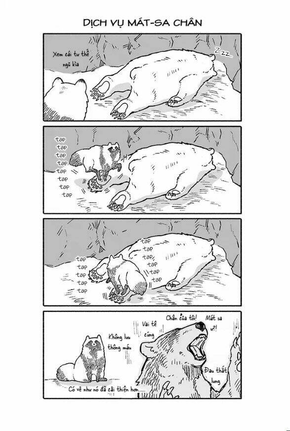 gấu và tanuki chapter 6 2