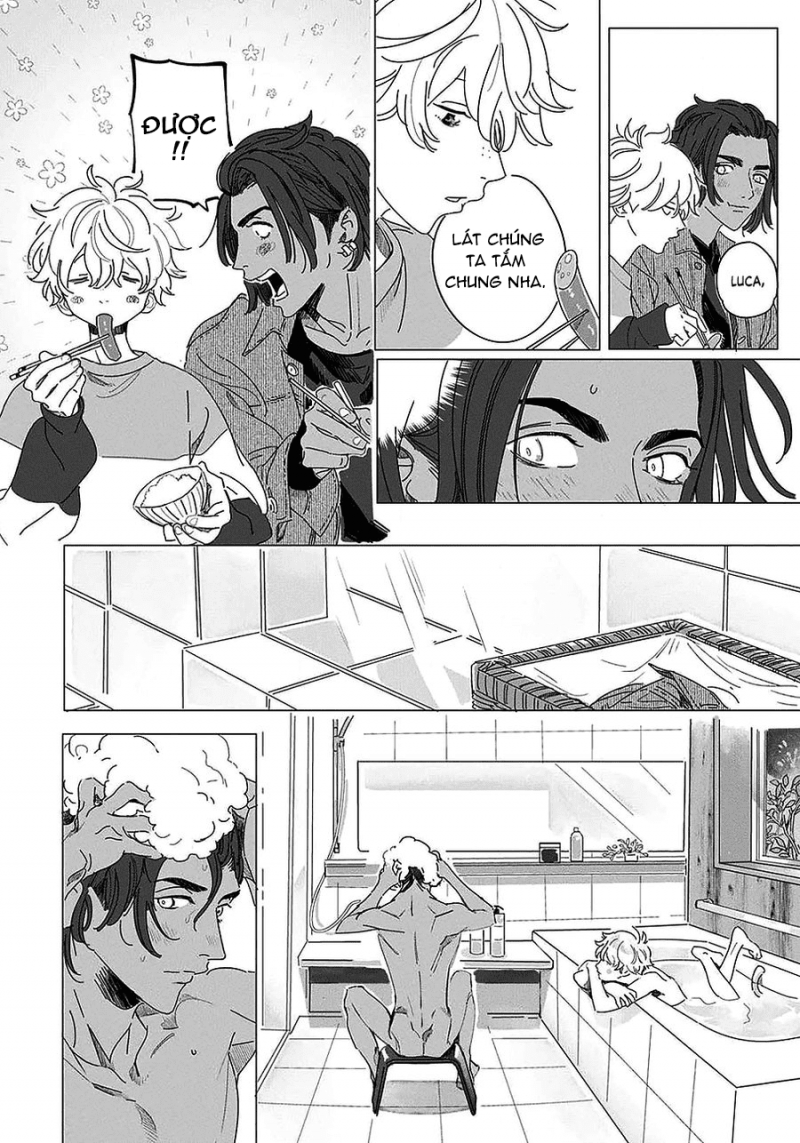 đất nước của những chú sư tử chapter 2 12