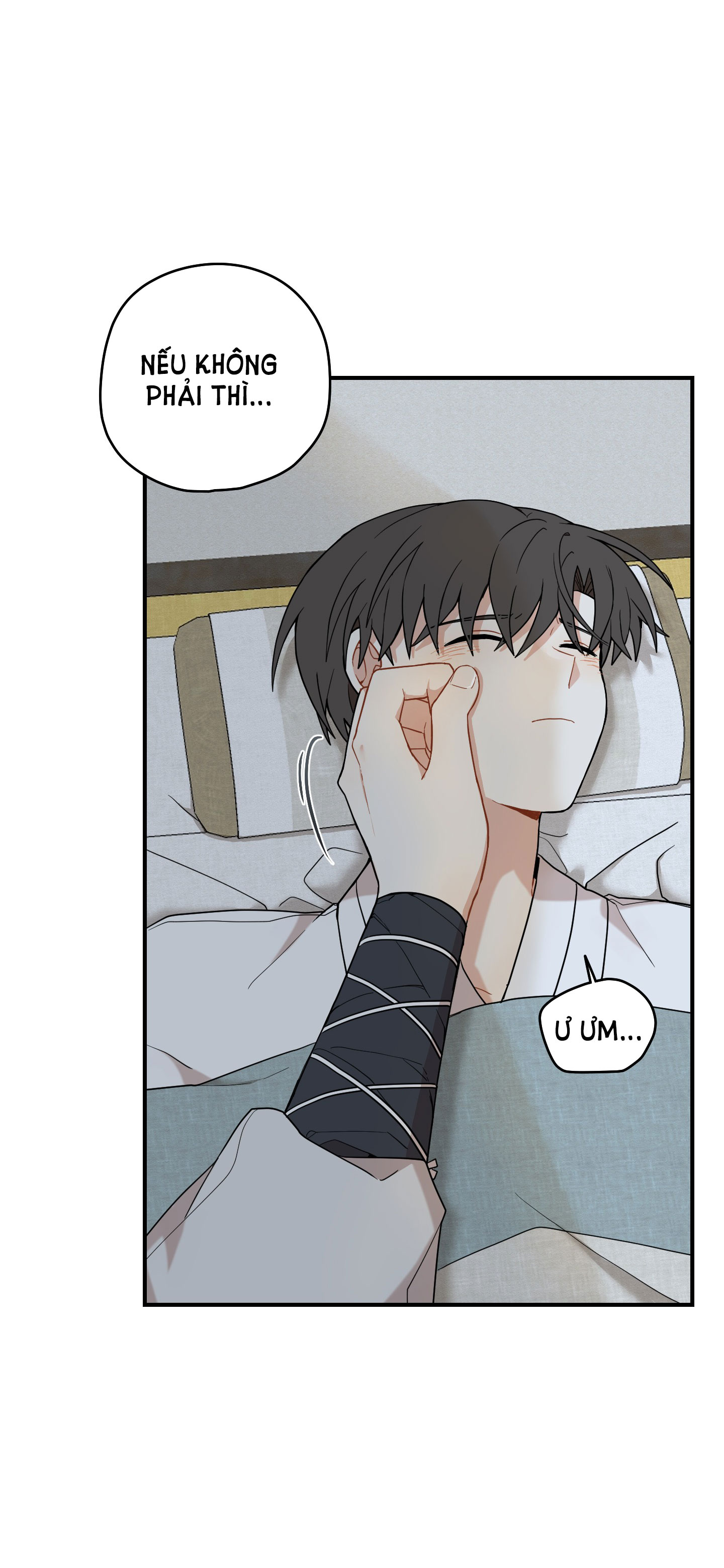 Dưới Tán Hoa Liên Kiều chapter 38.1 - Trang 5