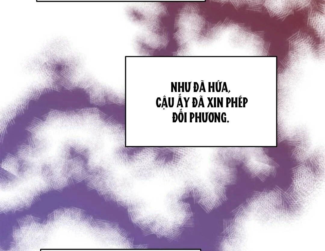 guide cấp b chapter 24 101