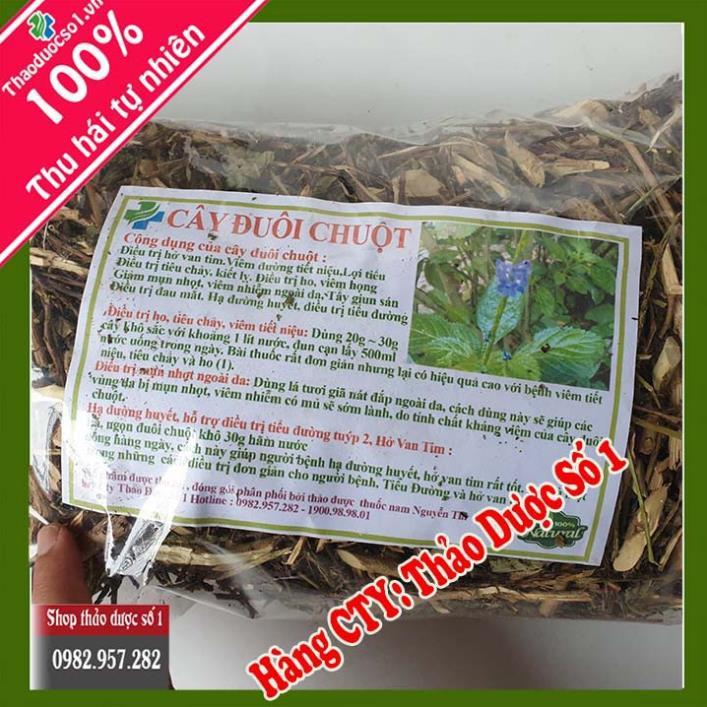 Đuôi chuột (cây mạch lạc) và tác dụng điều trị tiểu đường, ho, viêm tiết niệu 1KG