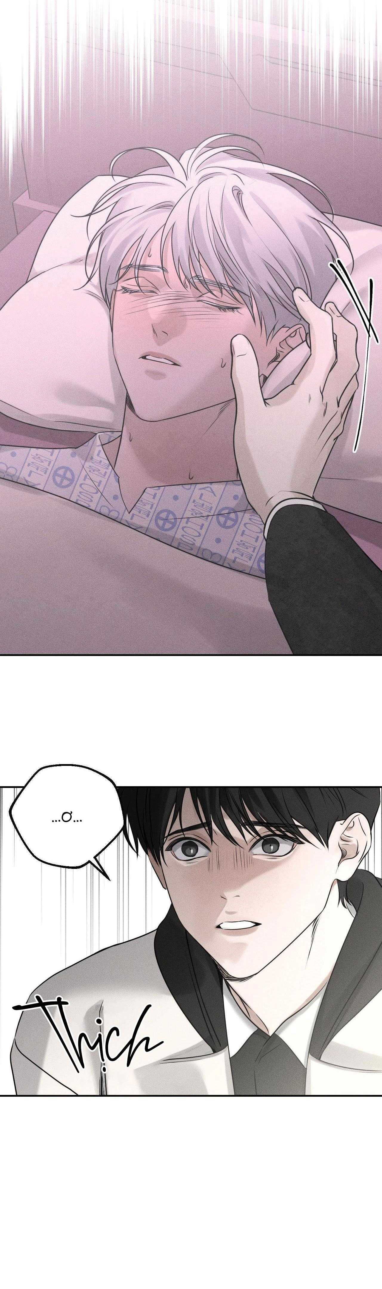 gấu teddy thân yêu chapter 20 20