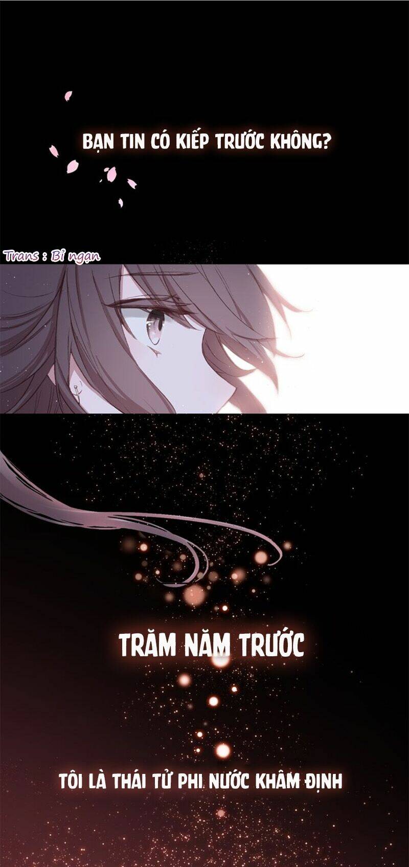 nhất sinh nhất thế mỹ nhân cốt chapter 0 2