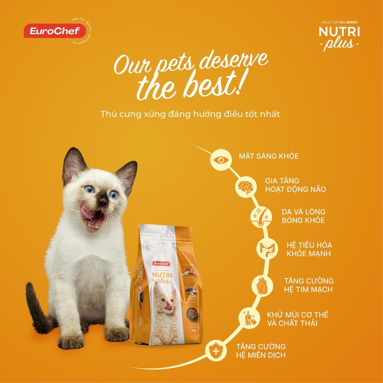 Thức Ăn Hạt Khô Cho Mèo Con EUROCHEF NUTRIPLUS KITTEN Túi 500g Và 2kg - YonaPetshop