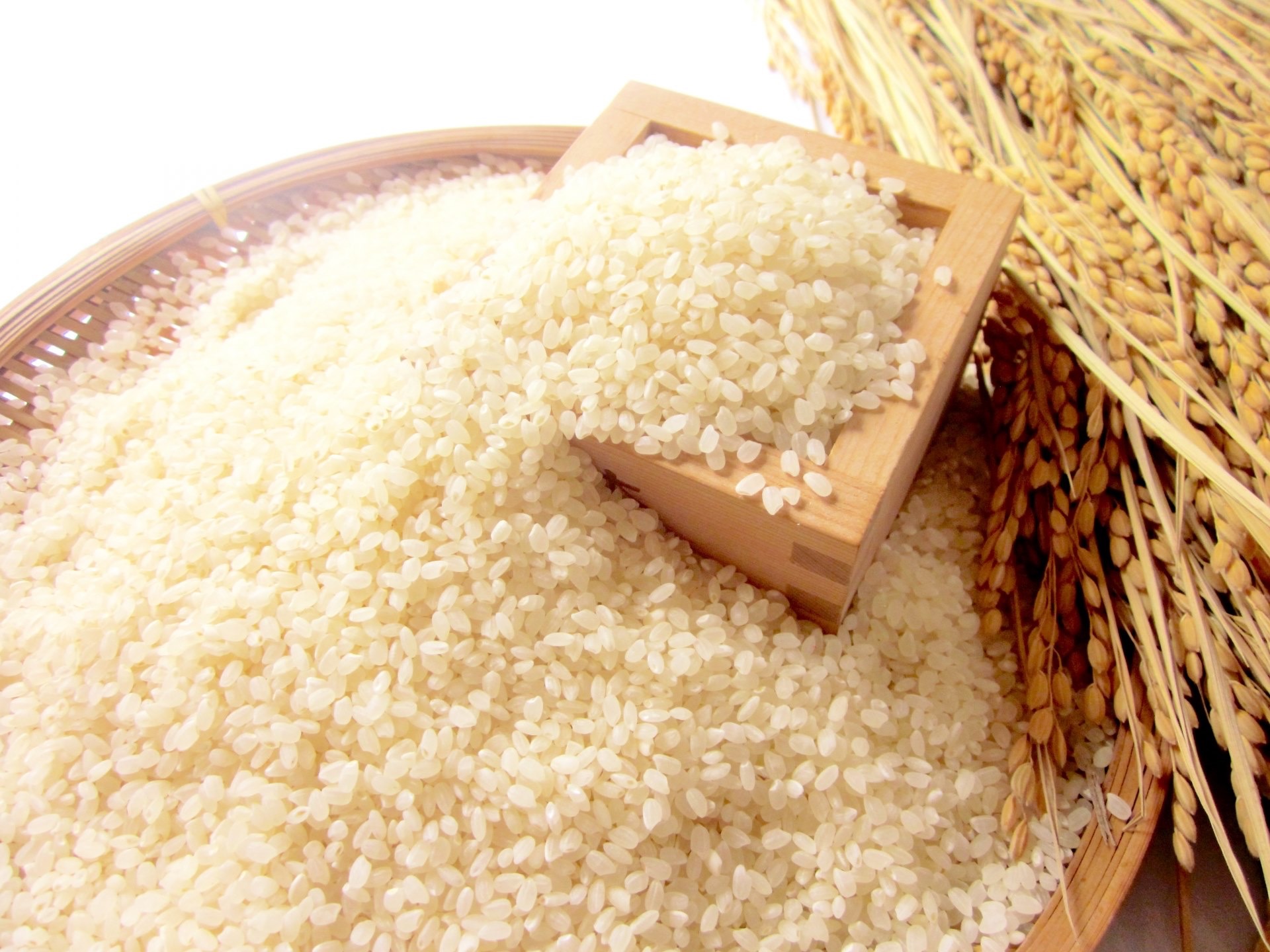 GẠO NHẬT HOKKAIDO YUMEPIRIKA 10 KG-GẠO TRẮNG