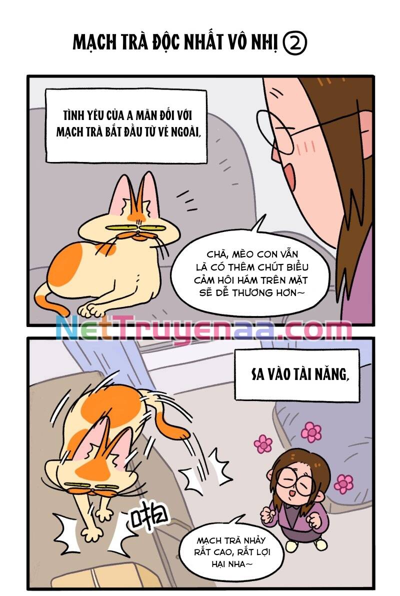 a mãn và mạch trà chapter 2 3