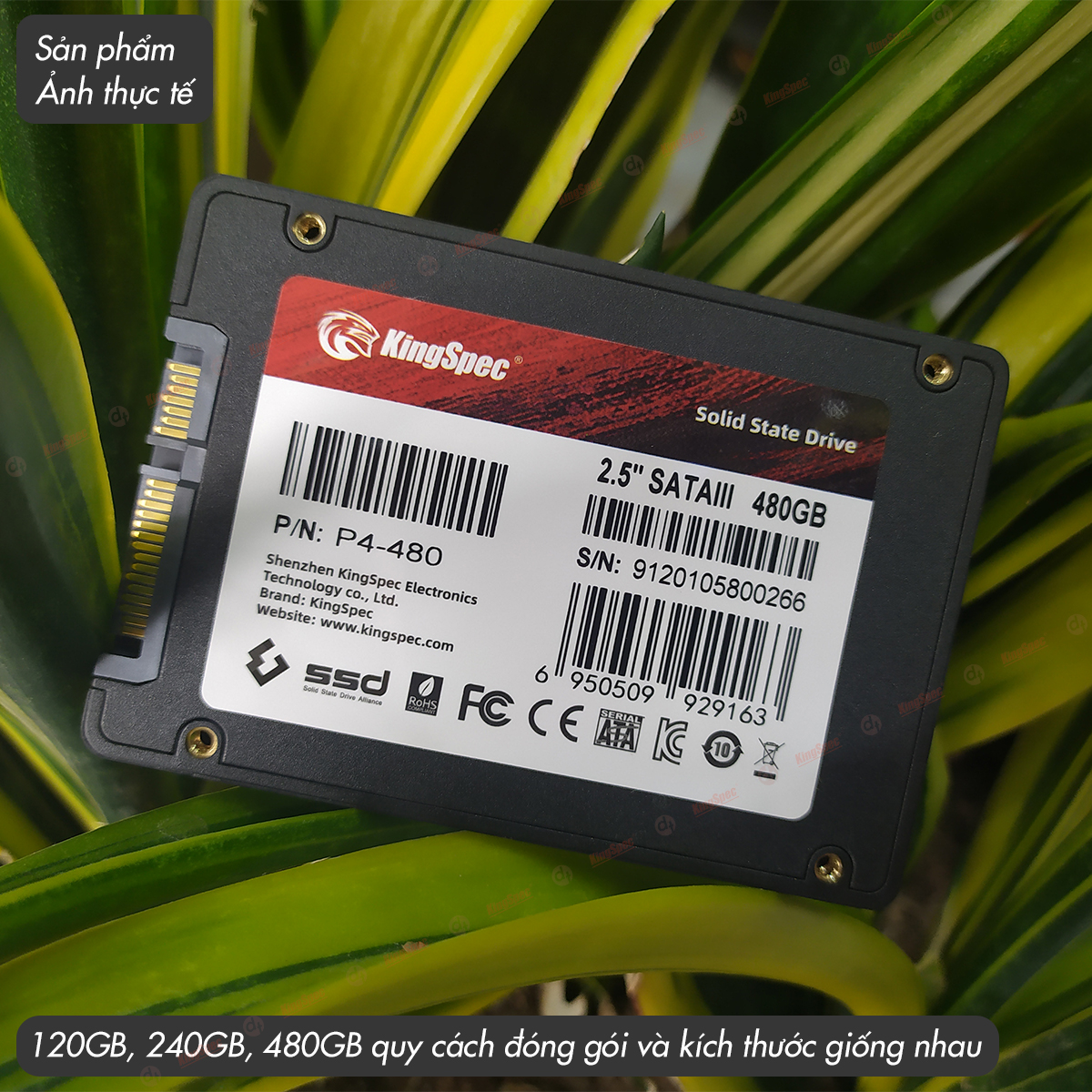 Ổ cứng SSD KingSpec P4 120GB - MỚI [Hàng Chính Hãng