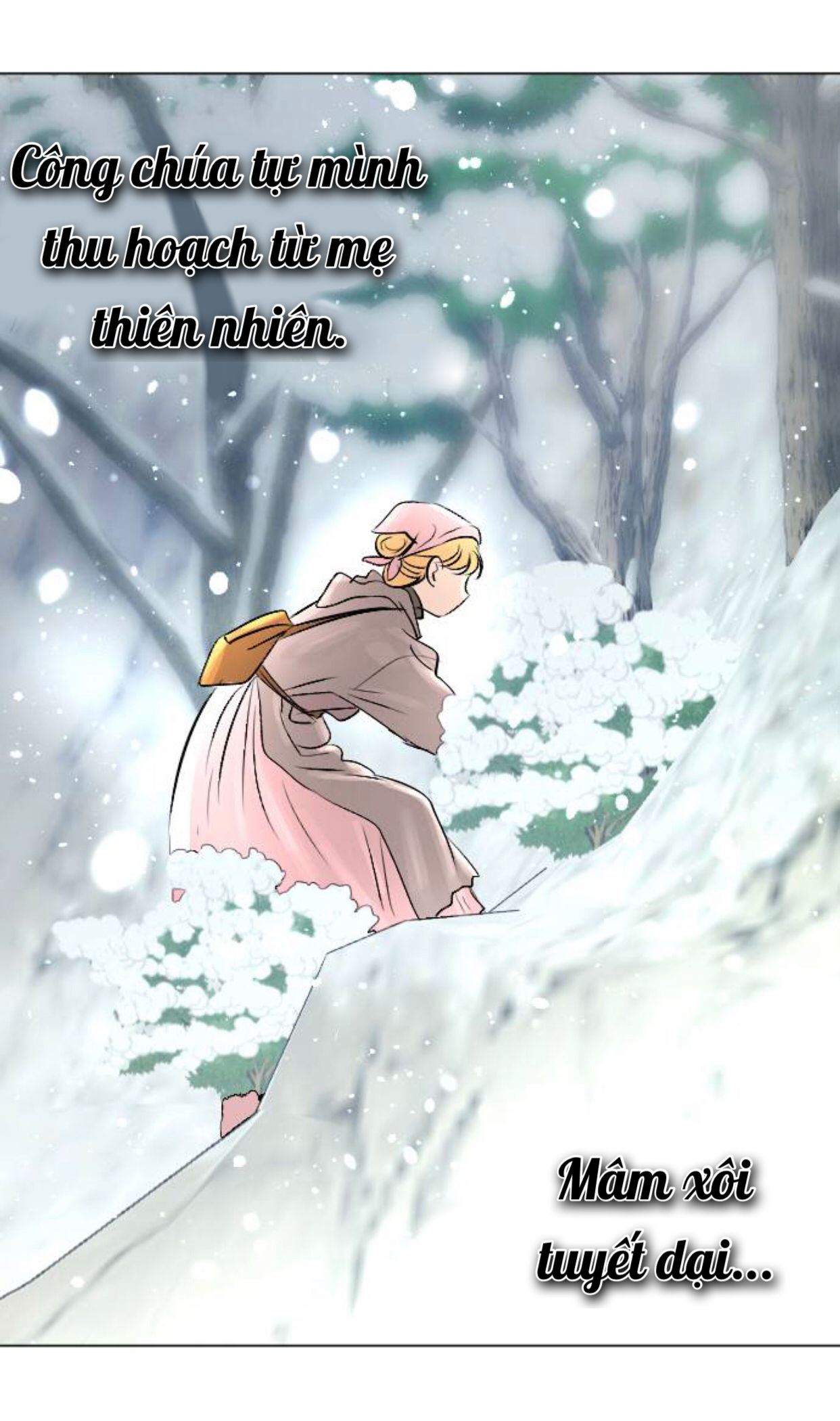 lựa chọn cuối cùng của tôi là nam phụ chapter 11 23