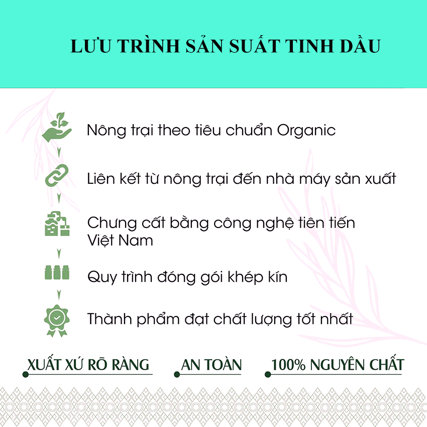 Tinh Dầu Thiên Nhiên Dung Tích 100ml IMA Nguyên Chất Thơm Phòng Giảm Căng Thẳng Đuổi Muỗi Khử Mùi Hôi Với 20 Mùi Lựa Chọn