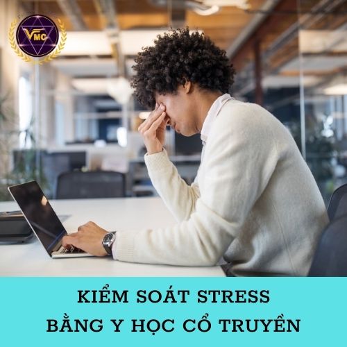 Khóa Học Video Kiểm Soát STRESS Bằng Y Học Cổ Truyền - Trung Tâm Chăm Sóc Sức Khỏe VMC