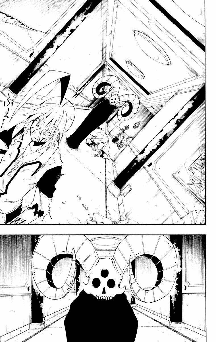 tripeace chapter 36 43