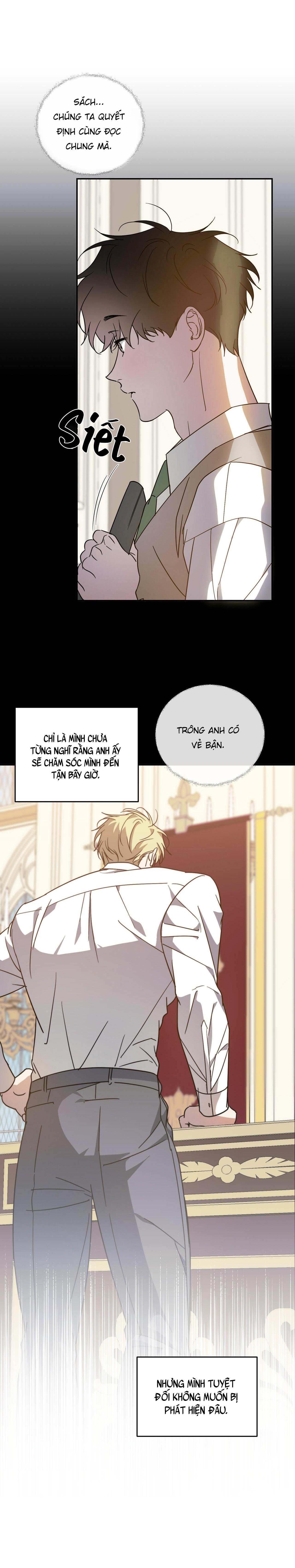 cấp trên chapter 49 4