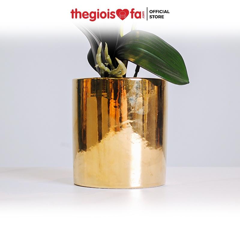 Bình hoa thuỷ tinh phong cách Bắc Âu Orchid 2001