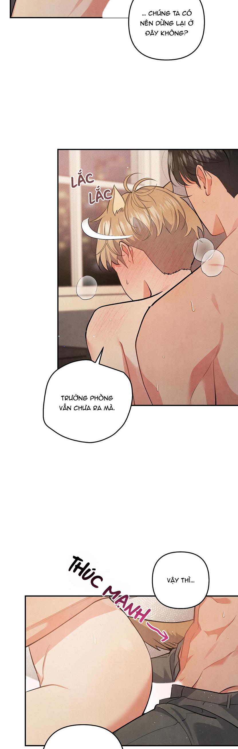 mối quan hệ ngu ngốc chapter 62 25