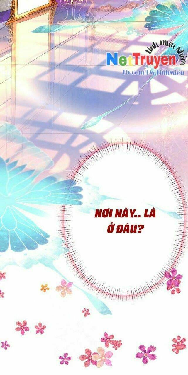 thuần bạch vận mệnh chi luân chapter 1 17