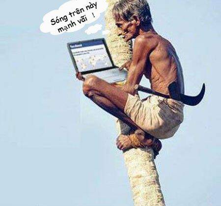 just troll chapter 21 22