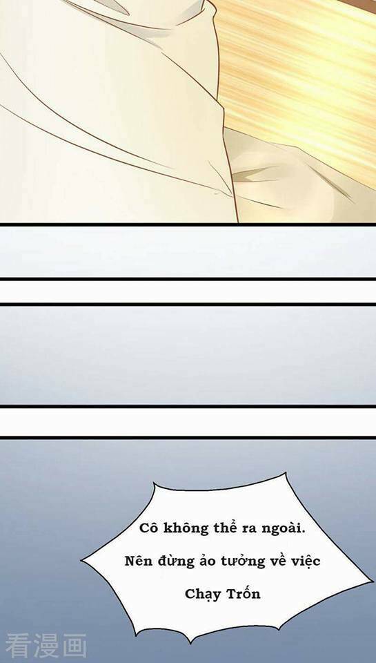 người vợ bí ẩn của tổng tài chapter 3 25