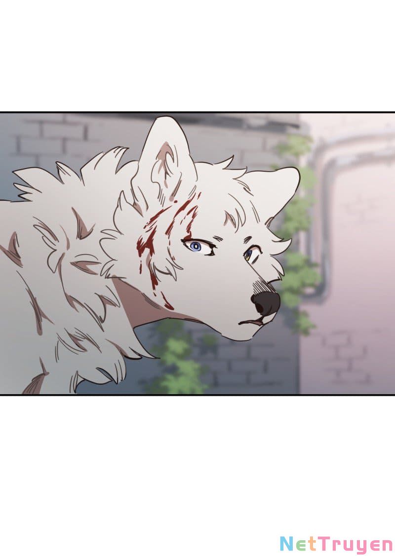 lumine - cội nguồn ánh sáng chapter 78 1