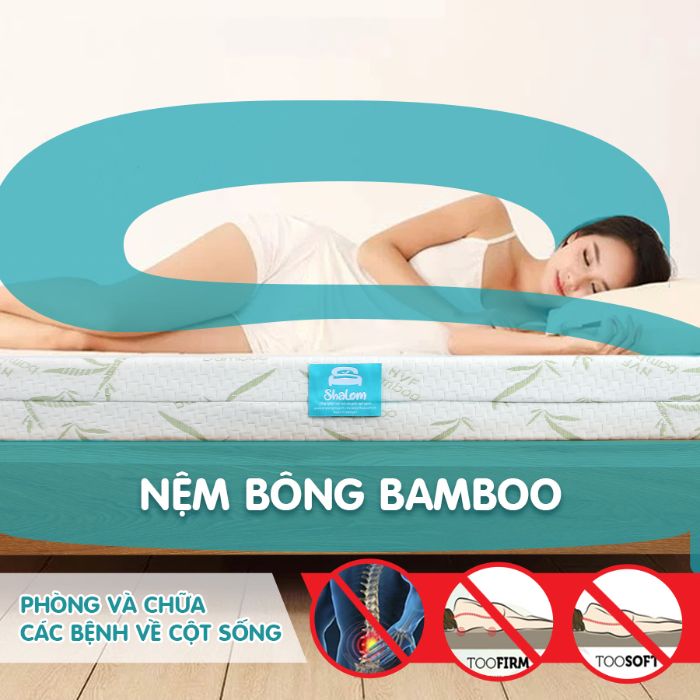 Nệm Bông Shalom Bamboo Kiểu Dáng Thẳng Hoặc Gấp