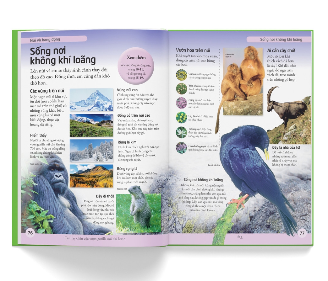 Bách Khoa Cho Trẻ Em -Bách Khoa Tự Nhiên