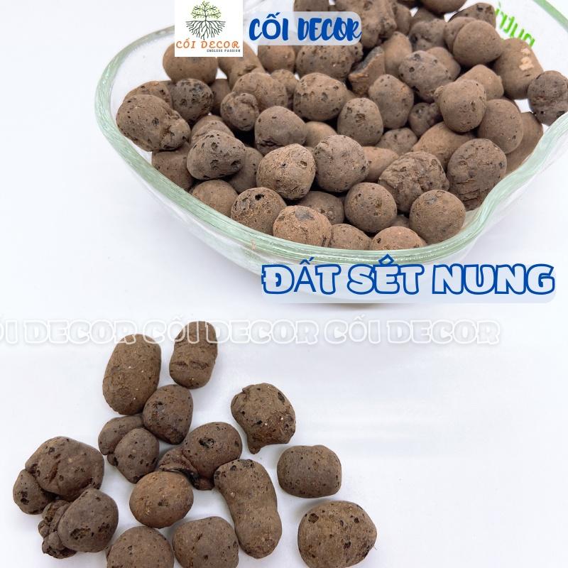 Đất sét nung trồng sen đá, xương rồng, trồng lan trang trí chậu cây