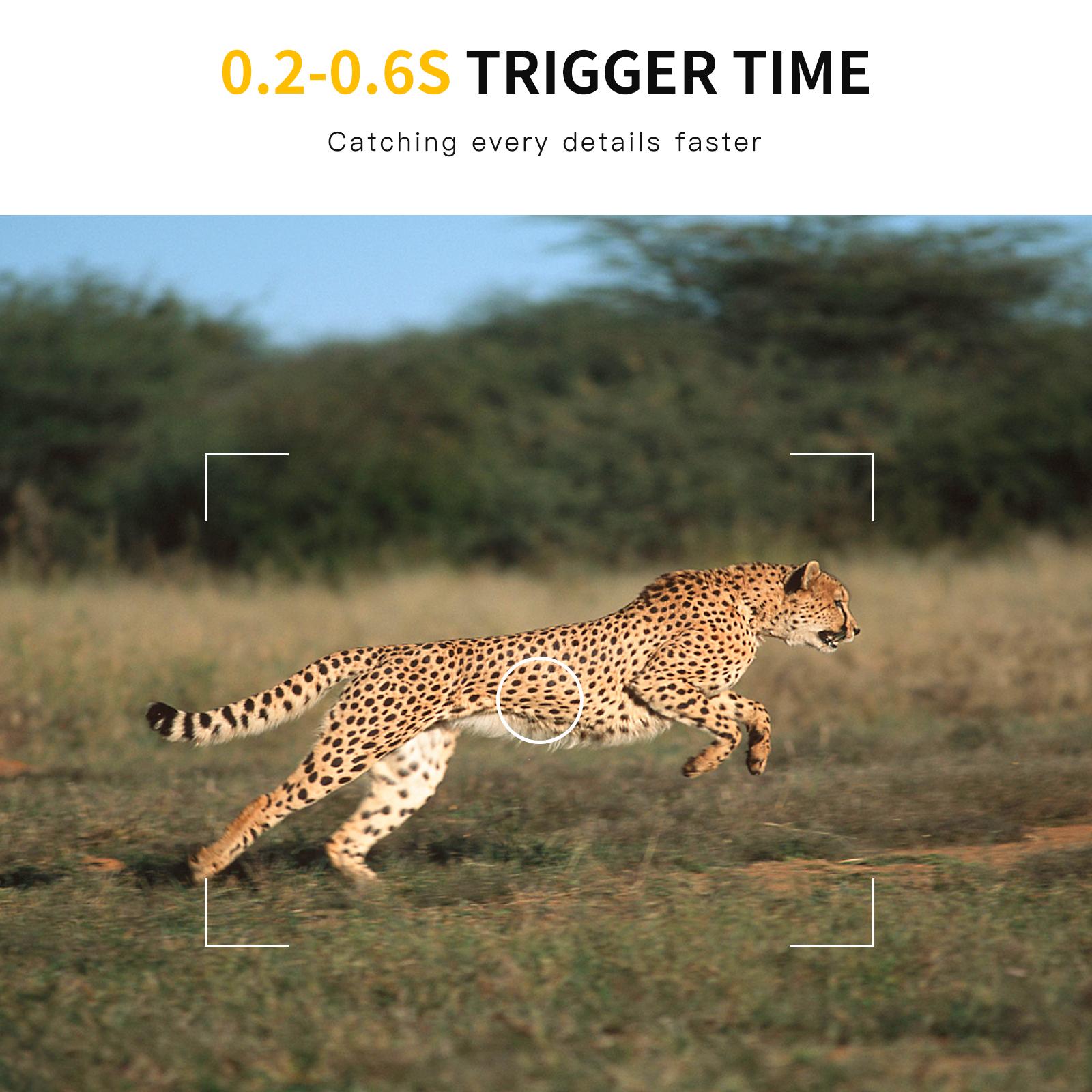 Camera Hành Trình Mini Chống Nước 16Mp 1080P Hồng Ngoại