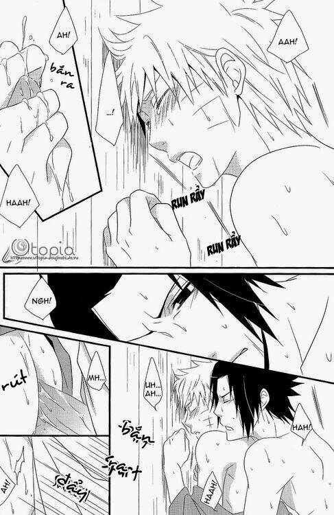 nightshade flower chapter 1 42