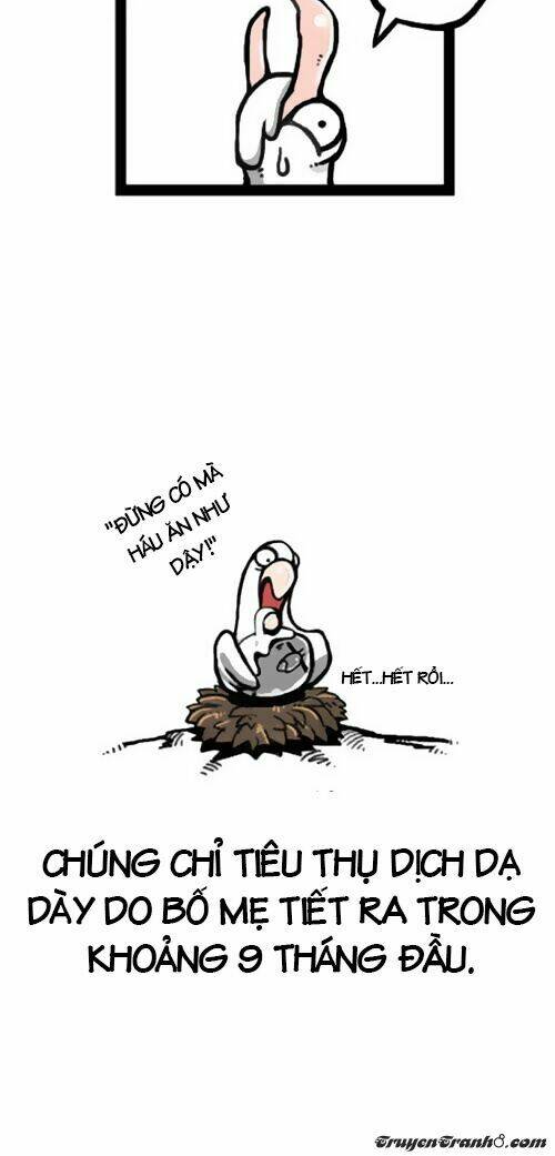 earth, human, and animal chapter 1 12