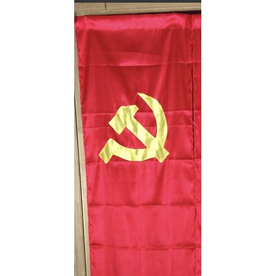 Cờ đuôi cá sao 0,7x2,5m