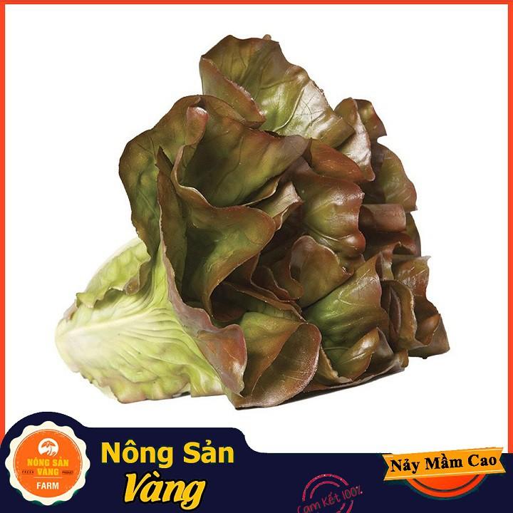 Hạt giống Xà Lách Tím Năng Suất Cao