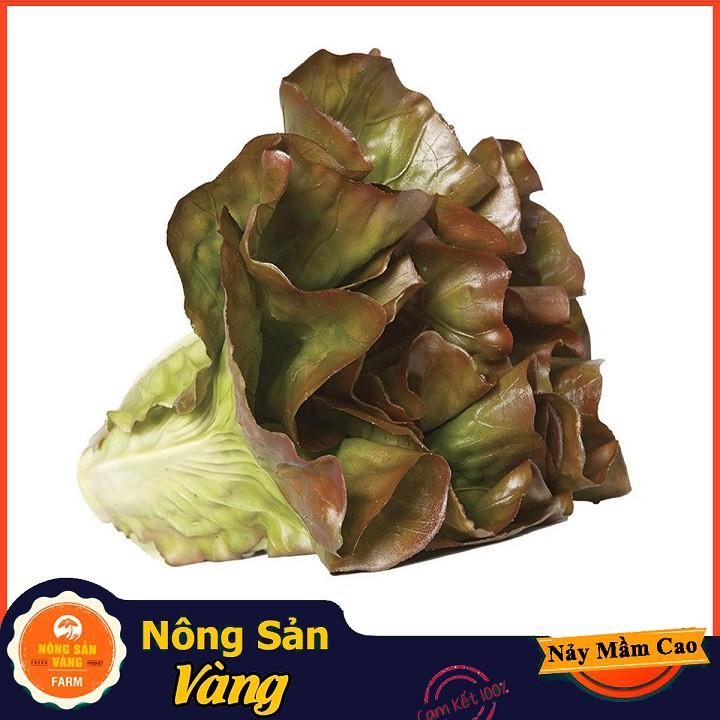 Hạt giống Xà Lách Tím Năng Suất Cao ( Gói 1 Gram ) - Nông Sản Vàng