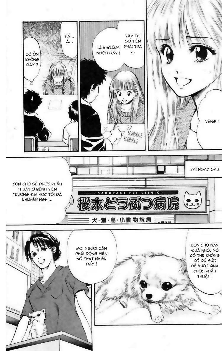 cô nàng yêu chó chapter 7 13