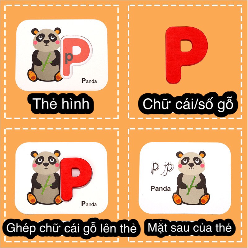 Bộ thẻ flash card học số và chữ cái