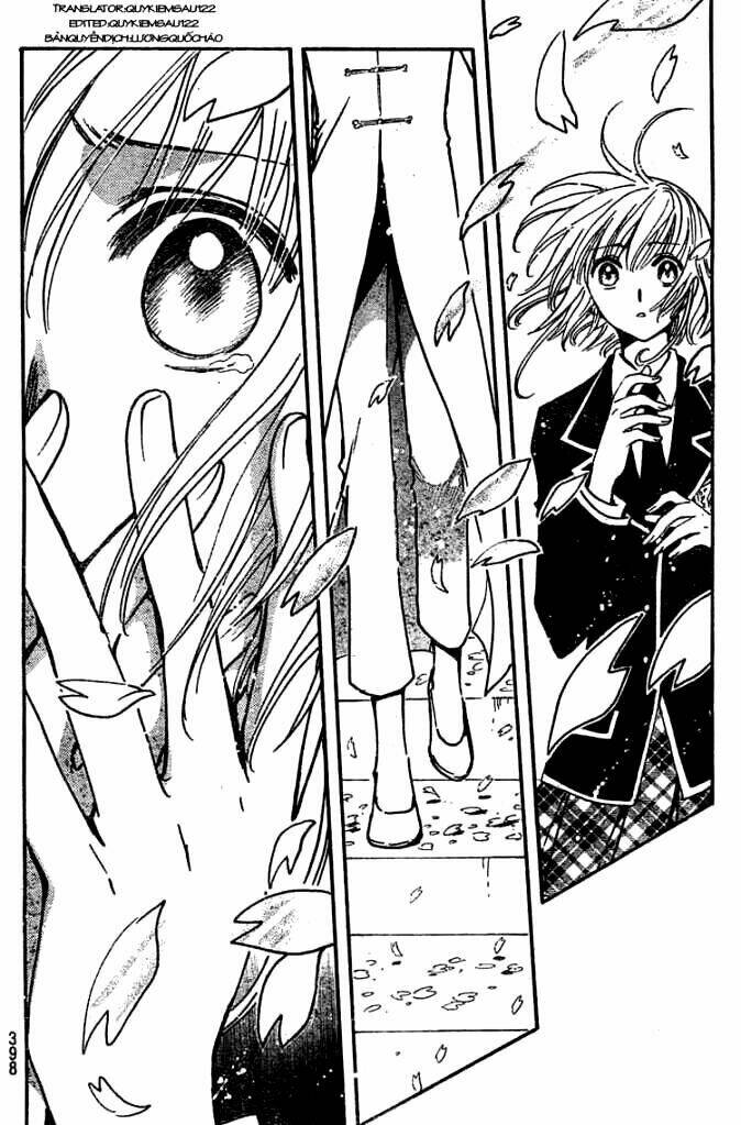 huyền thoại đôi cánh chapter 222 11