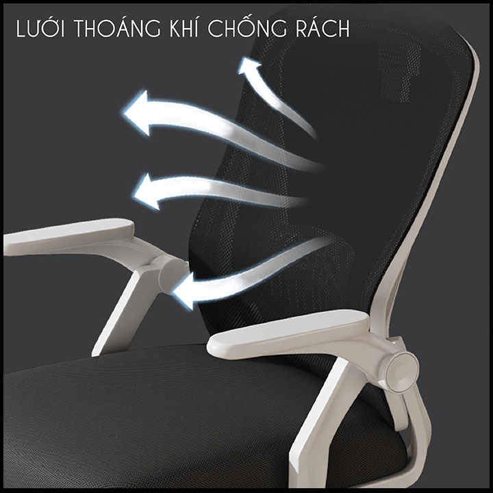 Ghế Văn Phòng Lưng Lưới Cao Cấp. Ghế Công Thái Học Ecomic Có Tựa Đầu Điều Chỉnh 3D. Nâng Hạ Độ Cao Tùy Chỉnh