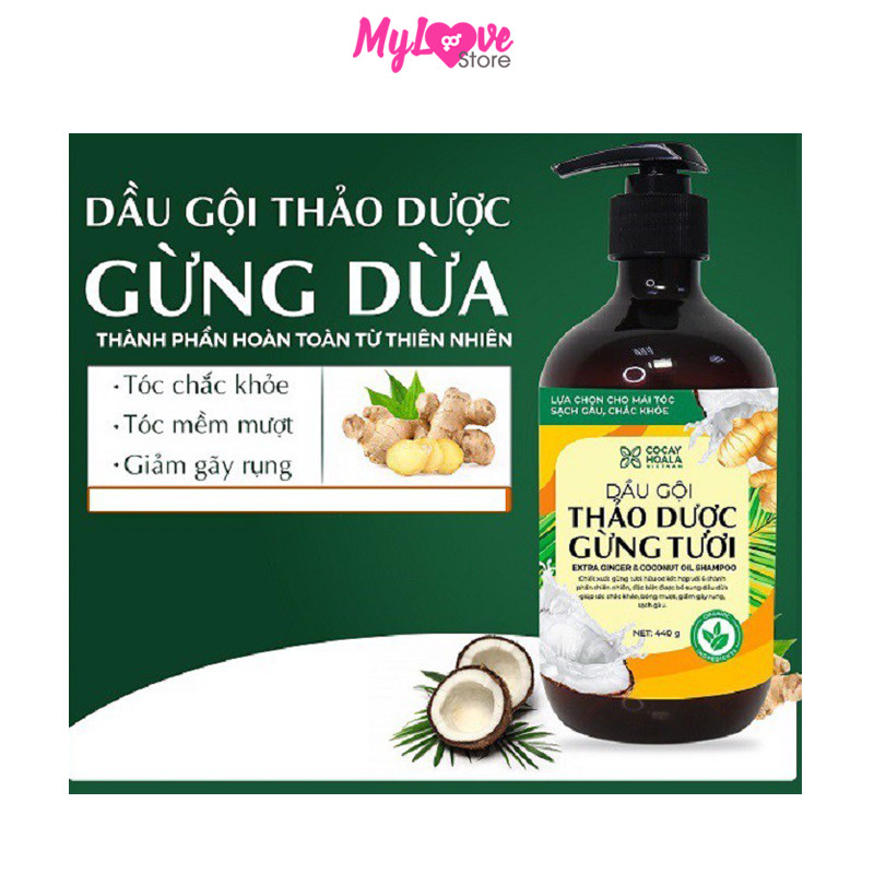 Dầu Gội Gừng Dừa Hữu Cơ Cocayhoala Ngăn Rụng Tóc Kích Thích Mọc Tóc - Giảm Gàu - Ngừa Cảm Lạnh  -Dưỡng Tóc Mềm Mượt Chắc Khỏe, Chai 440g