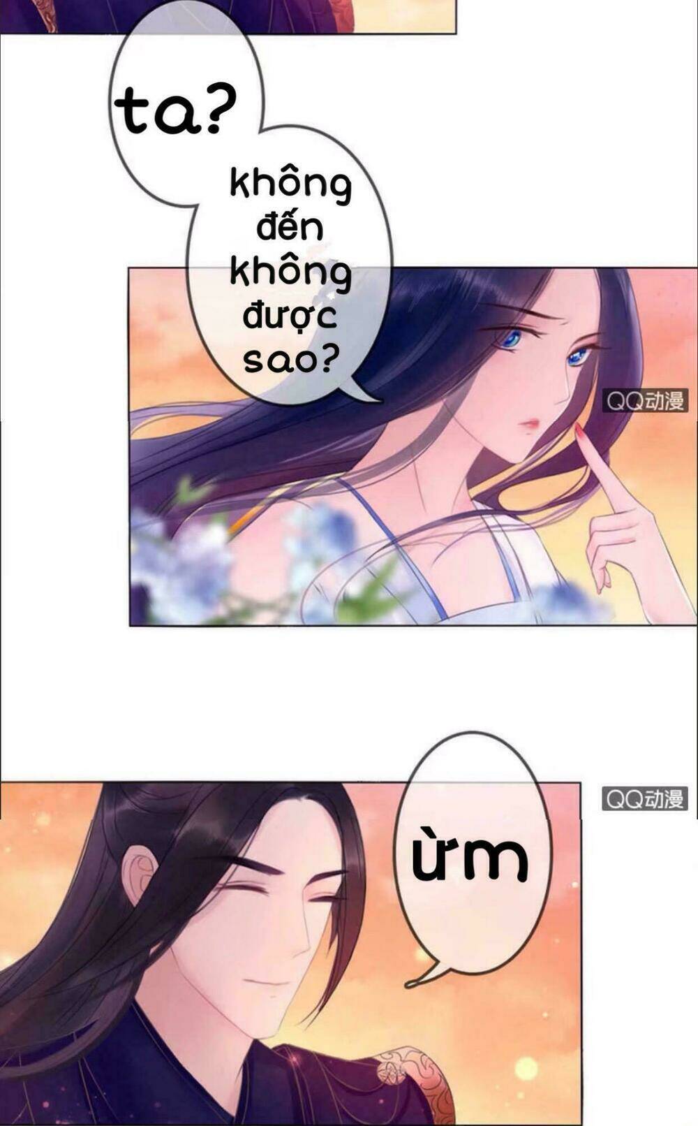 sủng phi của vương chapter 22 15