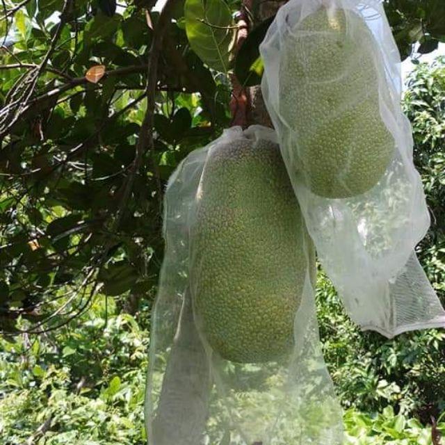 100 Túi Vải Lưới Bọc Mít kích thước 50x70cm Siêu Bền -Chống Ruồi, Chim, Côn Trùng Hút Chích, Chịu Nắng Mưa Qu