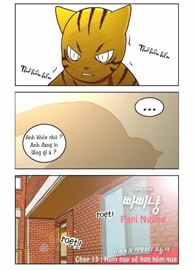 papi nyang chapter 15 5