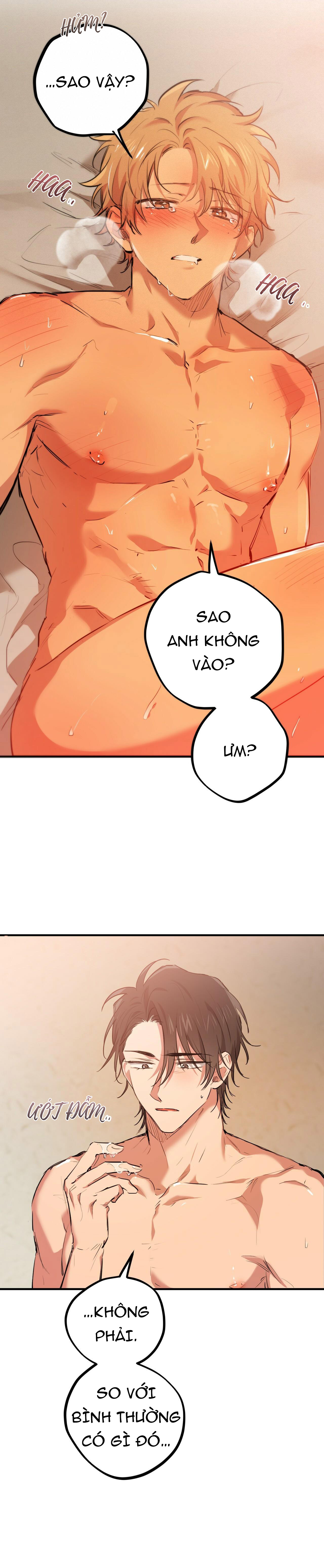 những chú thỏ của hapypy chapter 25 12